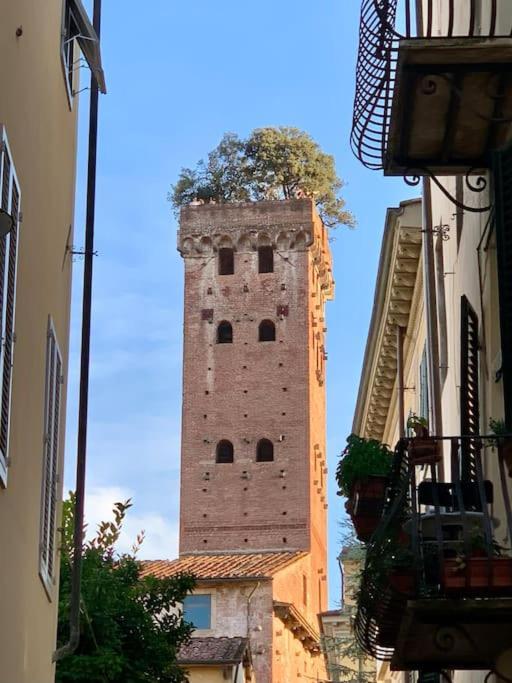 Via Nuova Apartments Lucca Exteriér fotografie