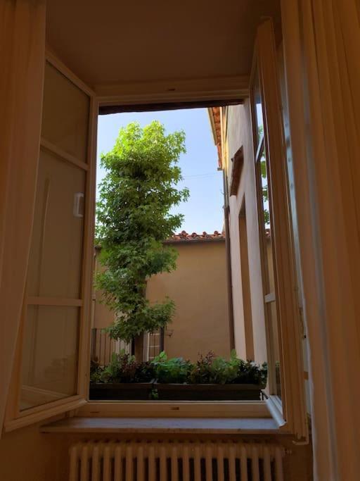 Via Nuova Apartments Lucca Exteriér fotografie